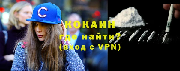 спиды Бородино