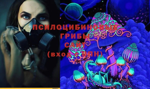 спиды Бородино