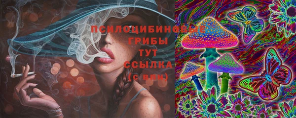 спиды Бородино
