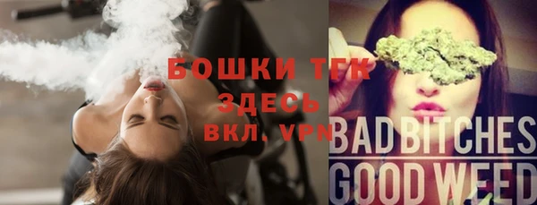 спиды Бородино