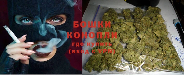 спиды Бородино