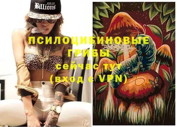 ALPHA-PVP Бугульма