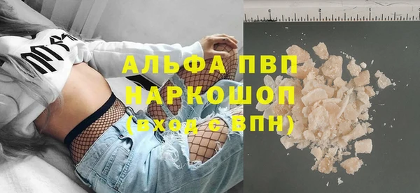 спиды Бородино